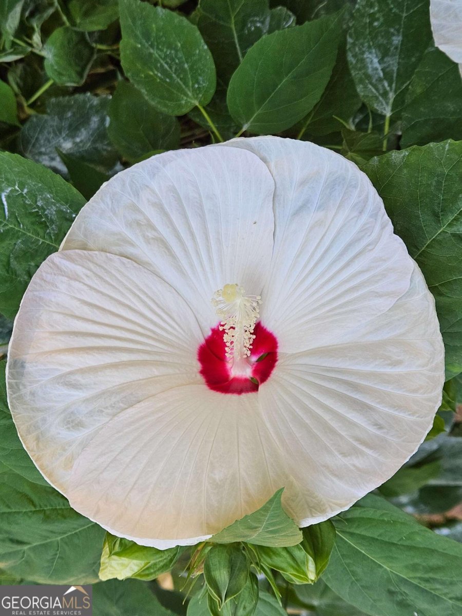 295 Blue Heron Drive Athens - 9