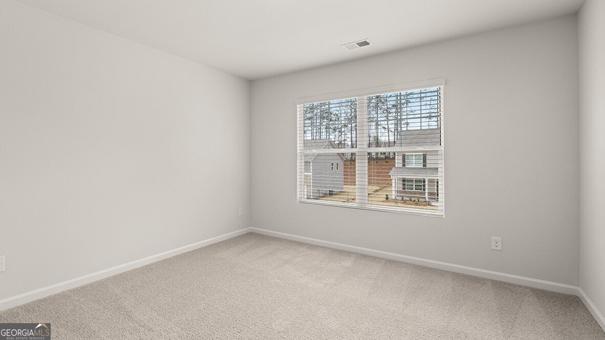 81 Biltmore Place Braselton - 38