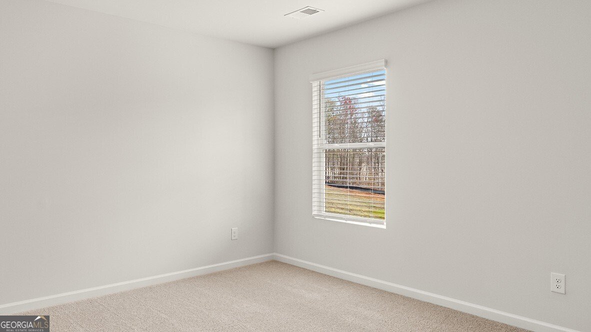 81 Biltmore Place Braselton - 40