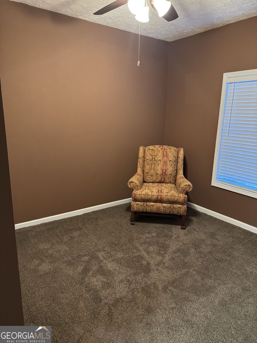 156 Reisling Drive Braselton - 25