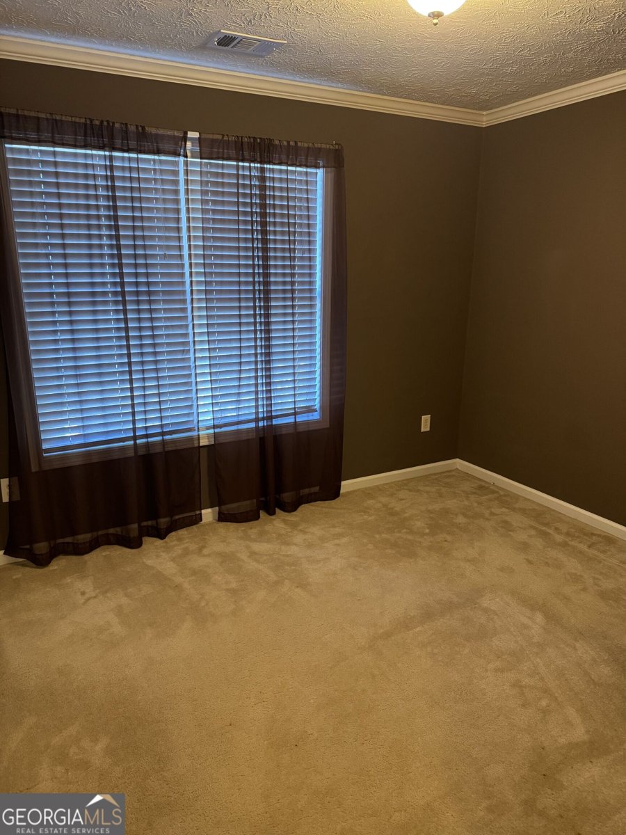 156 Reisling Drive Braselton - 33