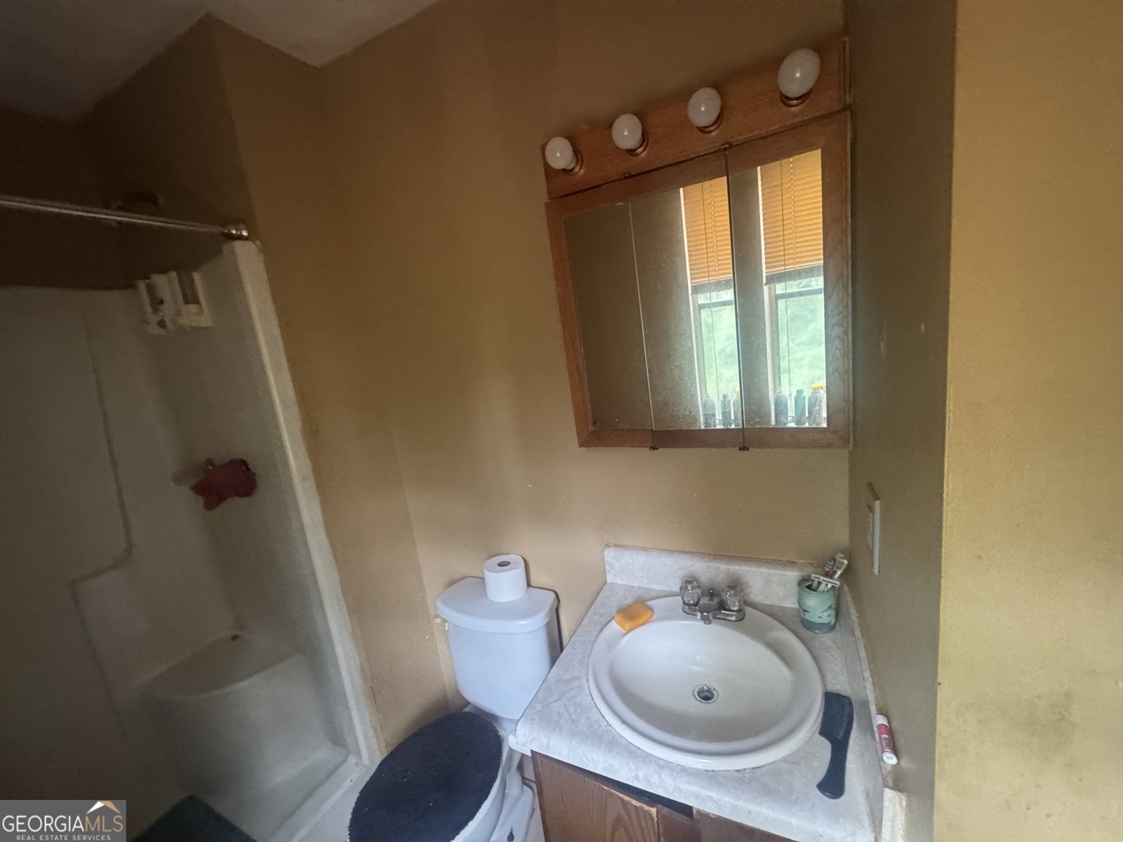 3957 Brookstone Court Ellenwood - 15