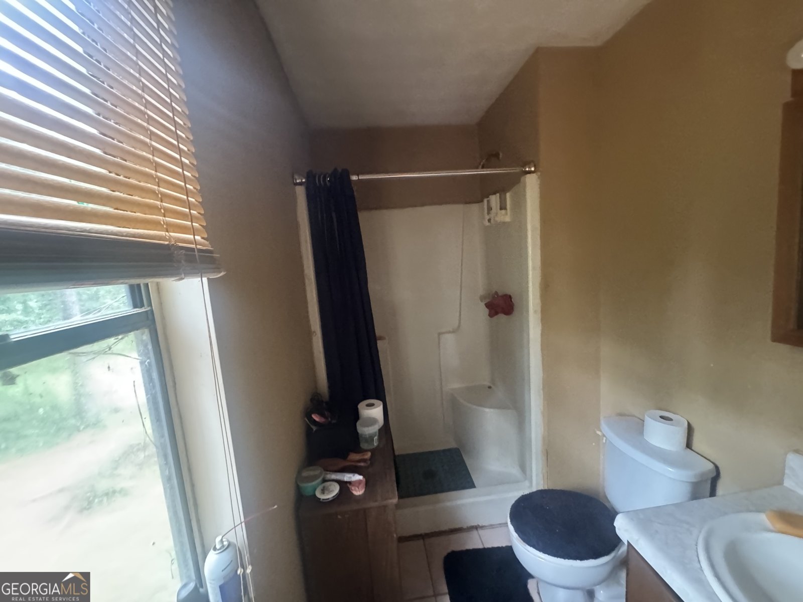 3957 Brookstone Court Ellenwood - 16