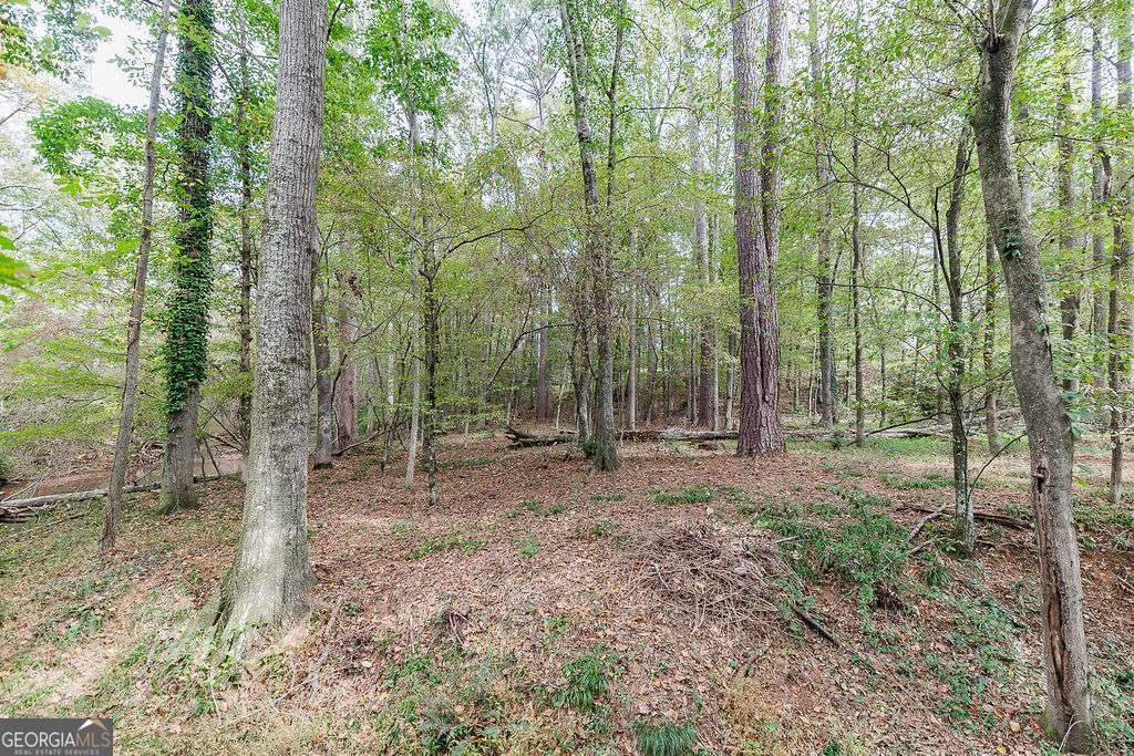 1051 River Haven Lane Watkinsville - 45