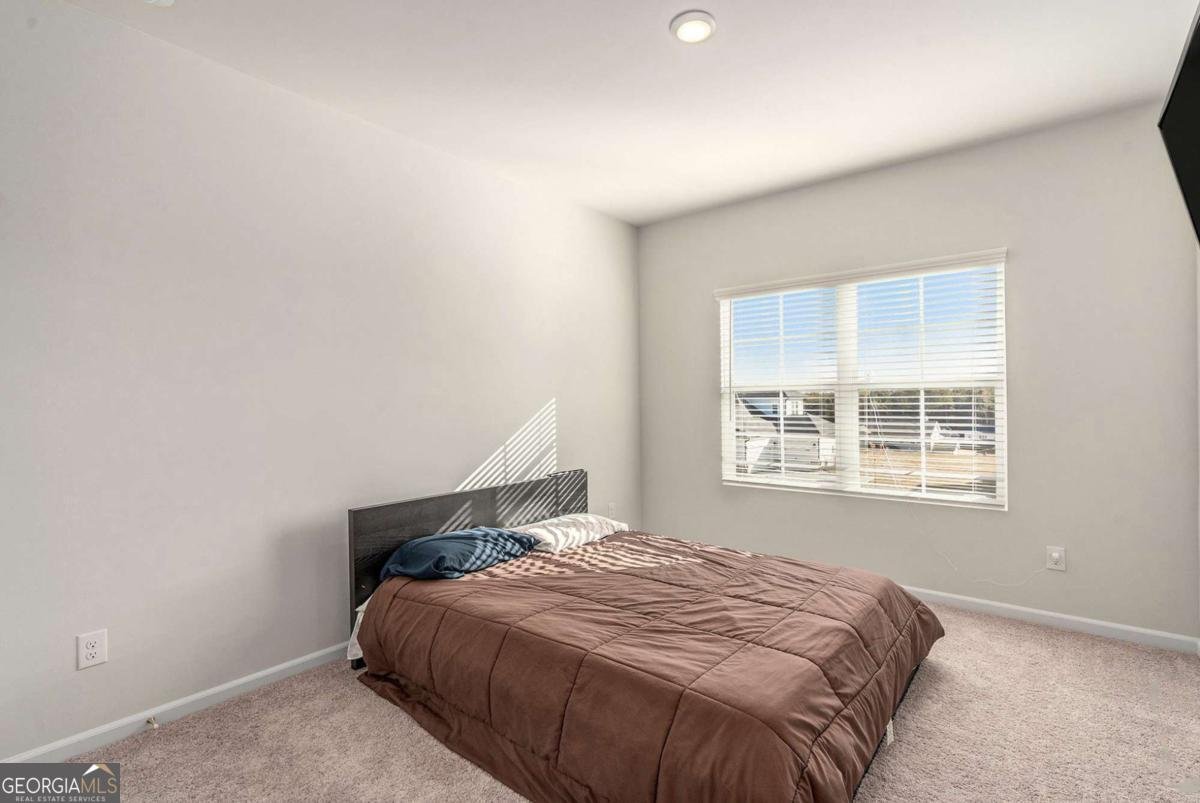 705 Hedwig Drive Mcdonough - 22