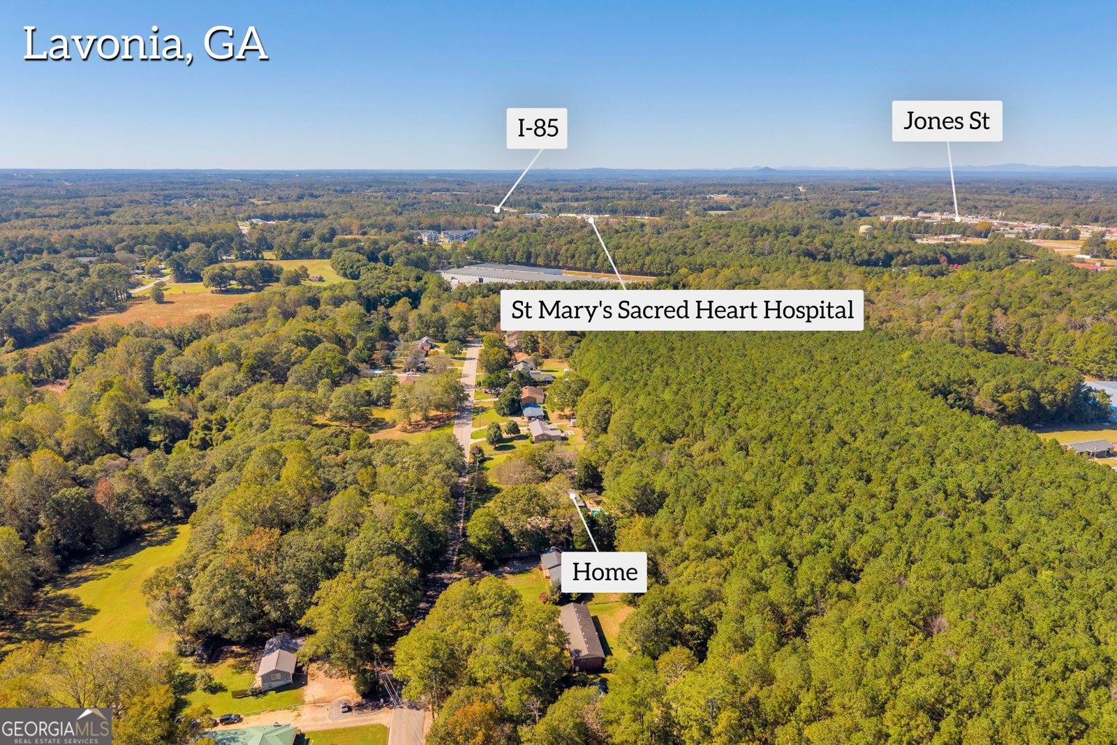 396 Brookwood Drive Lavonia - 82