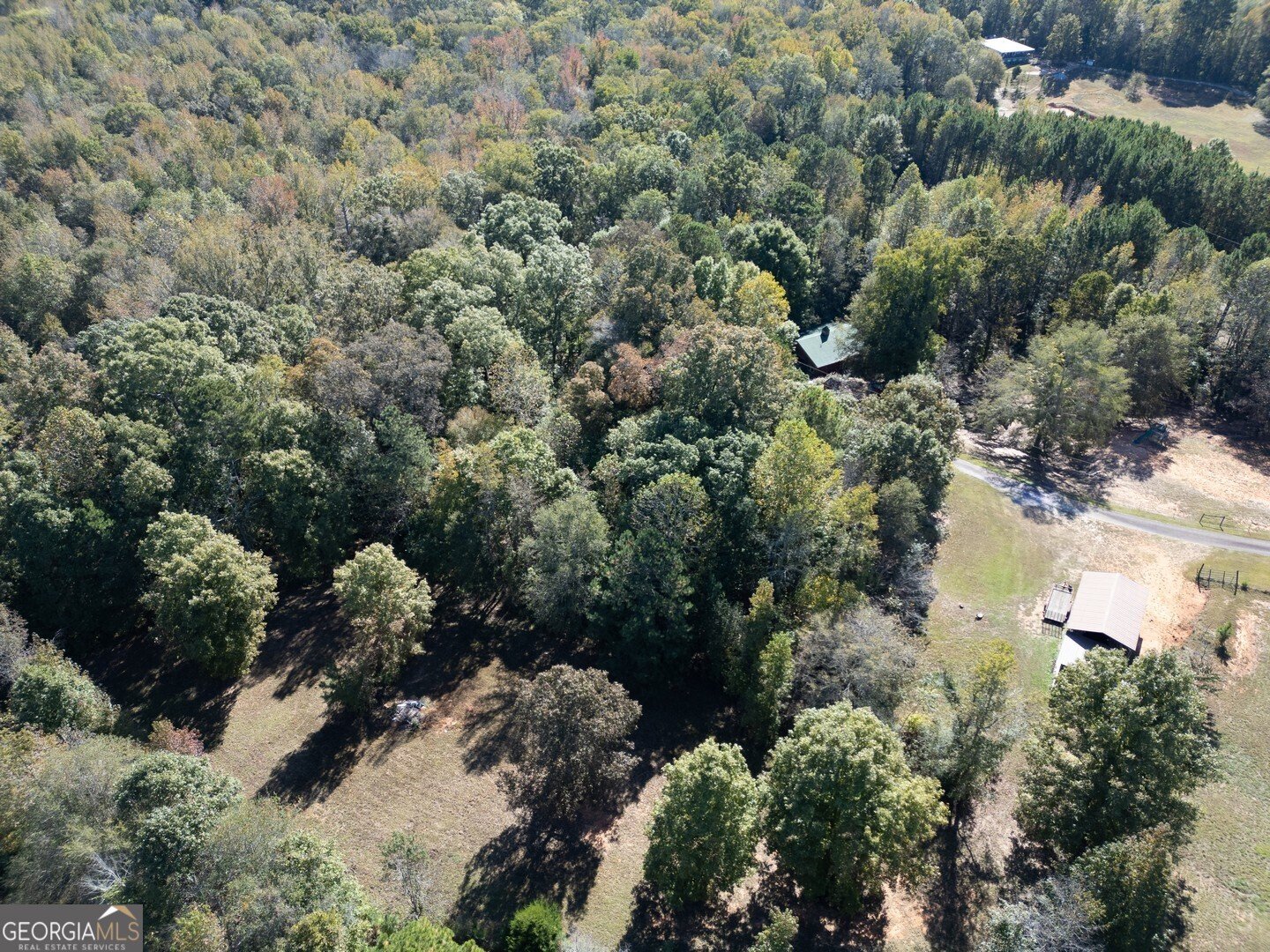 613 Van Morrison Road Monticello - 79