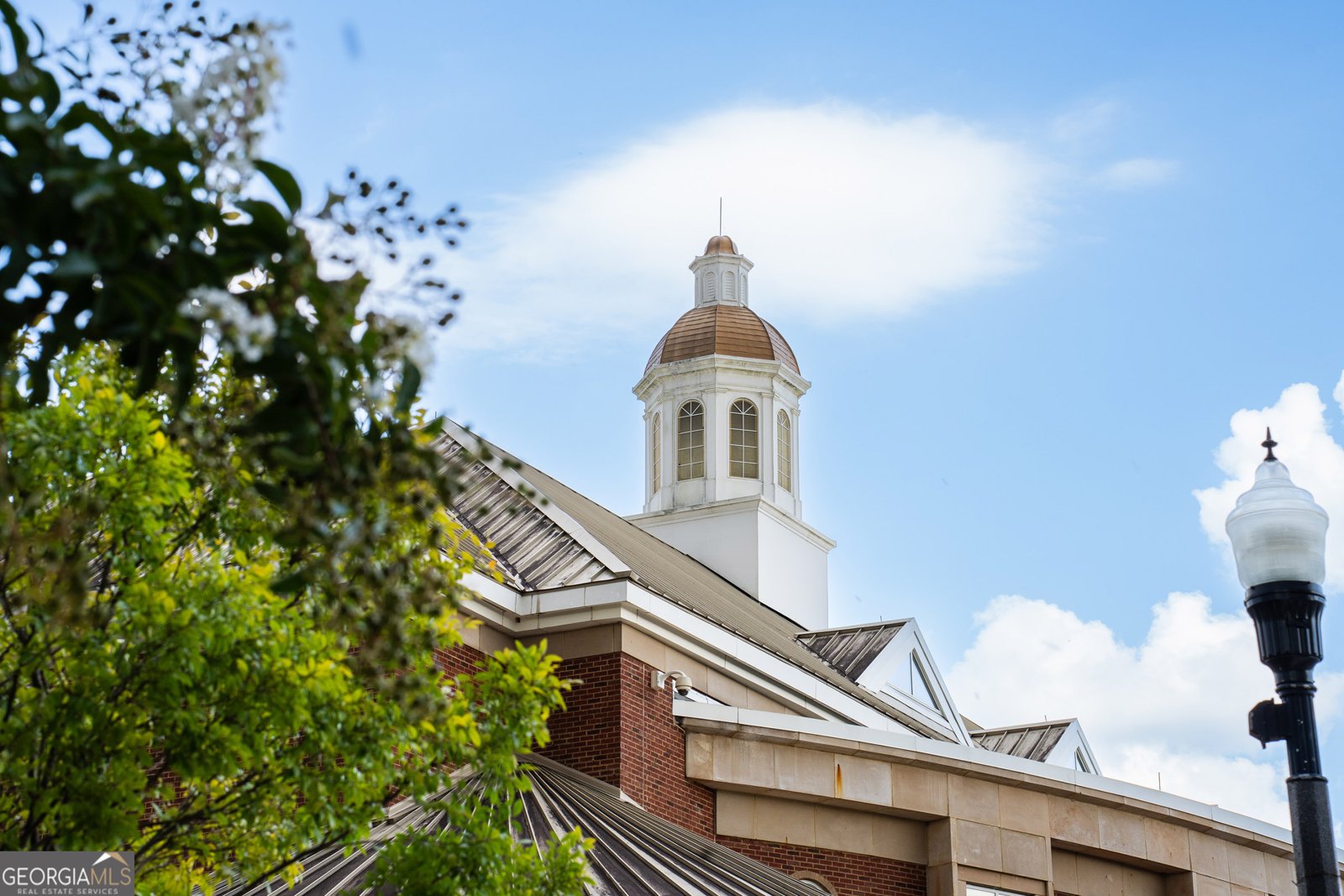 201 Brush Creek Court Stockbridge - 20