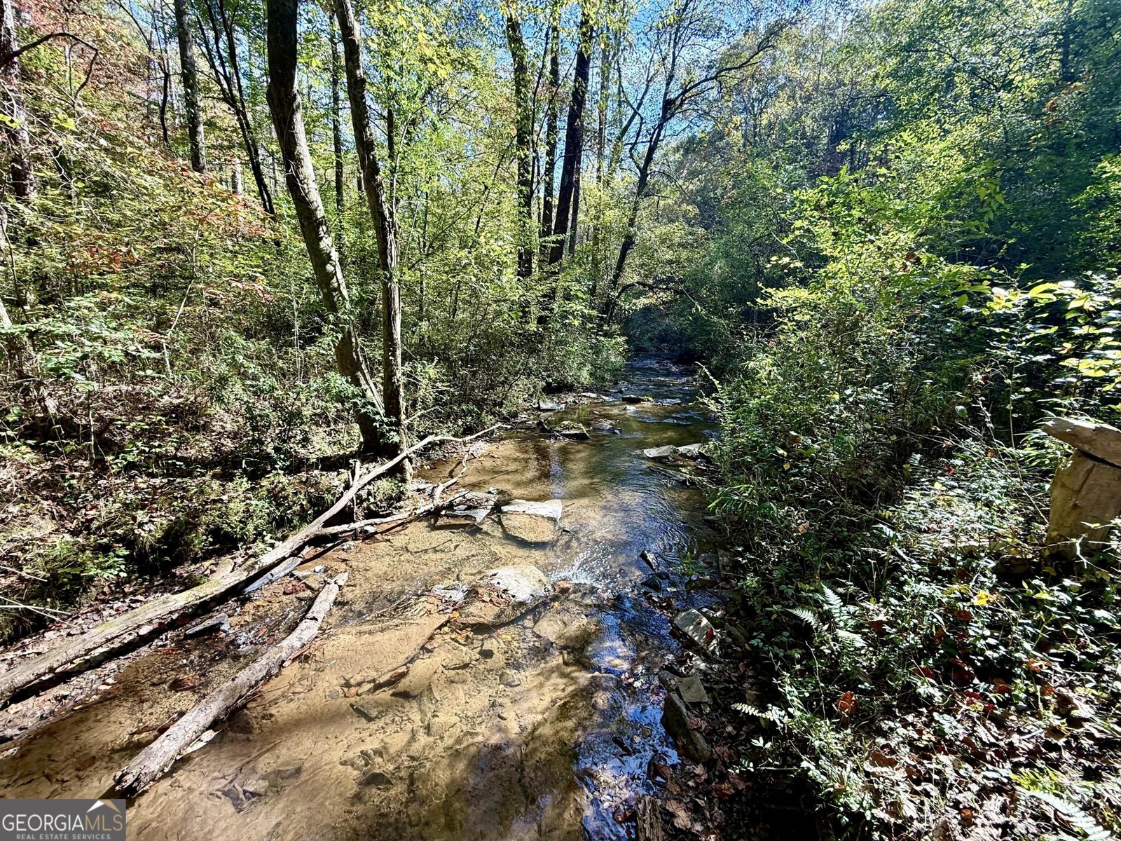 138 Rhondas Way Ellijay - 24