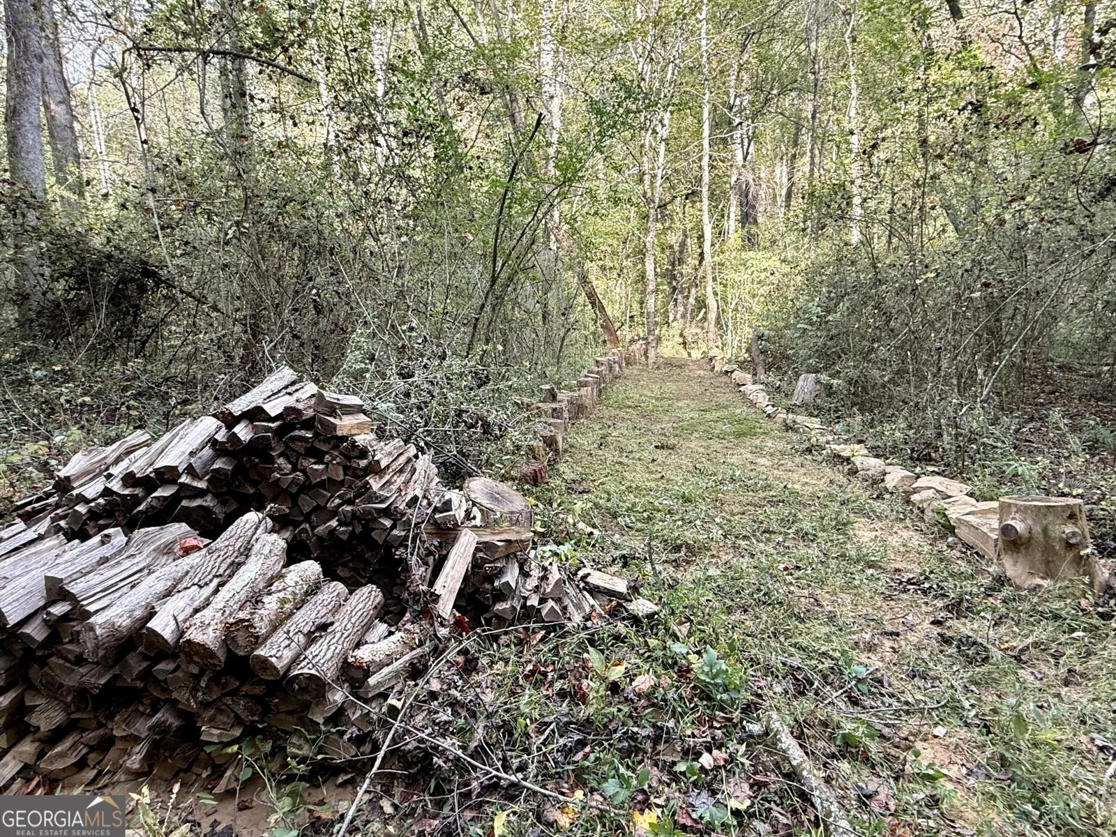 138 Rhondas Way Ellijay - 48