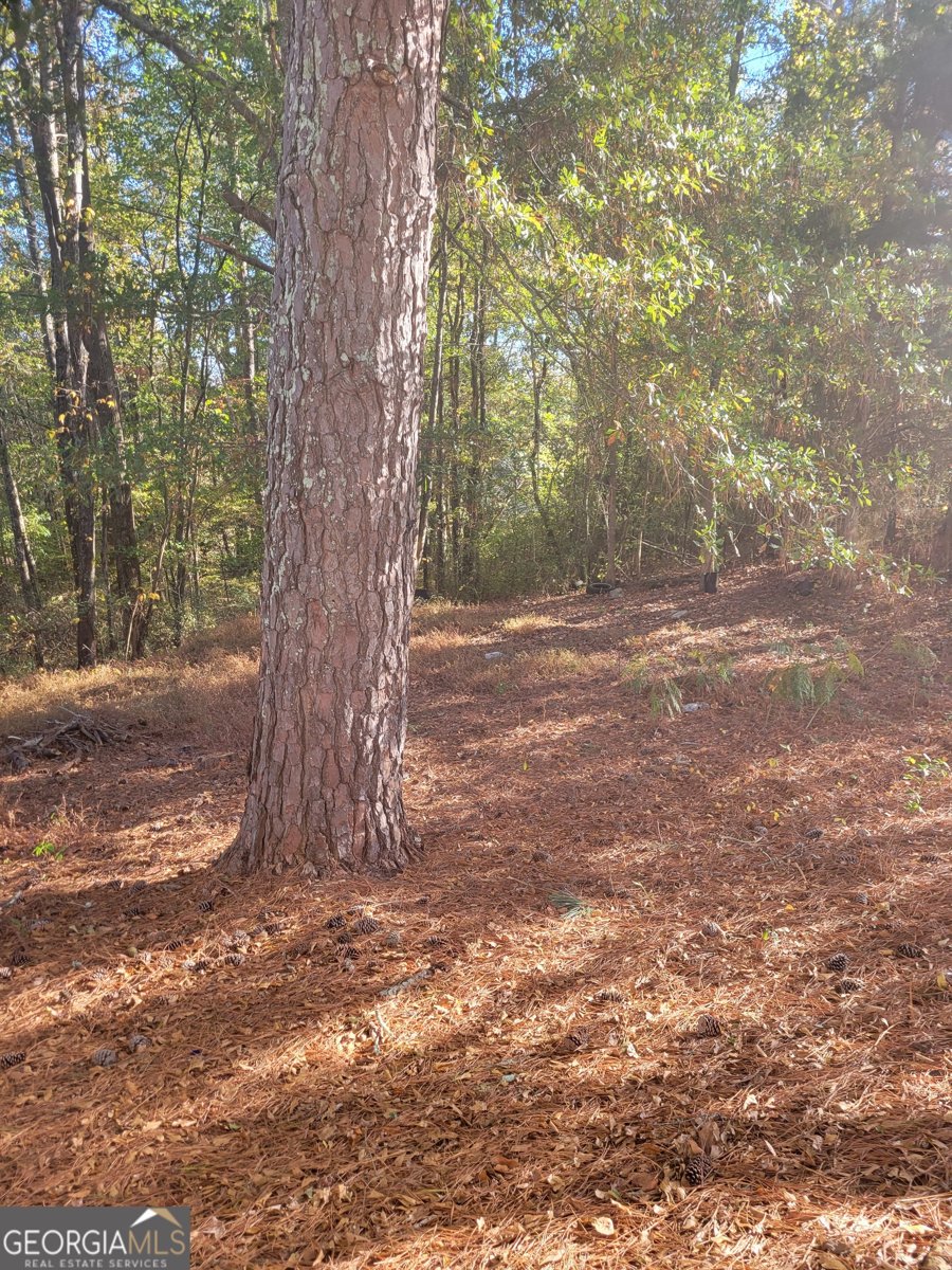 3063 GA Hwy 120 Tallapoosa - 4