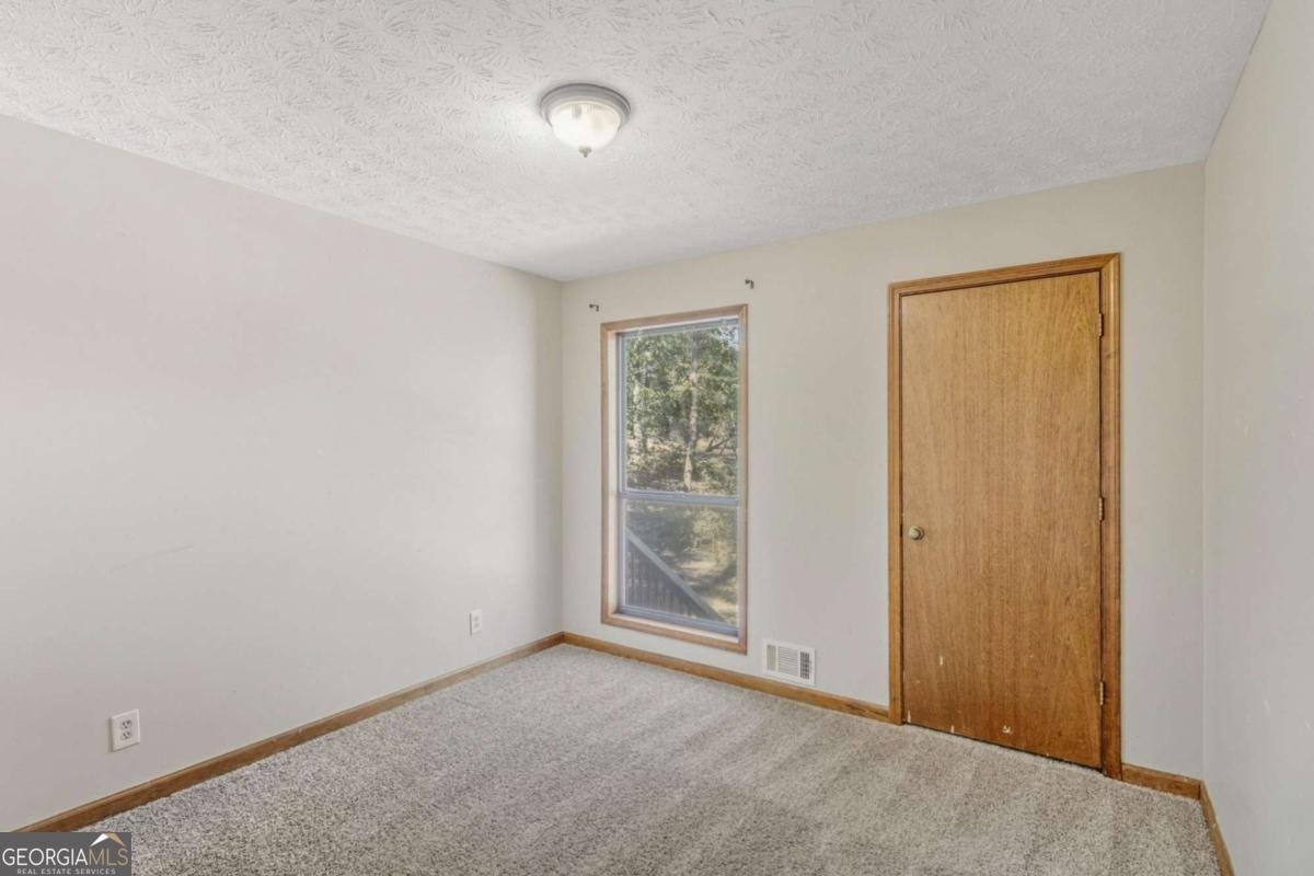 1100 Spring Place Canton - 10