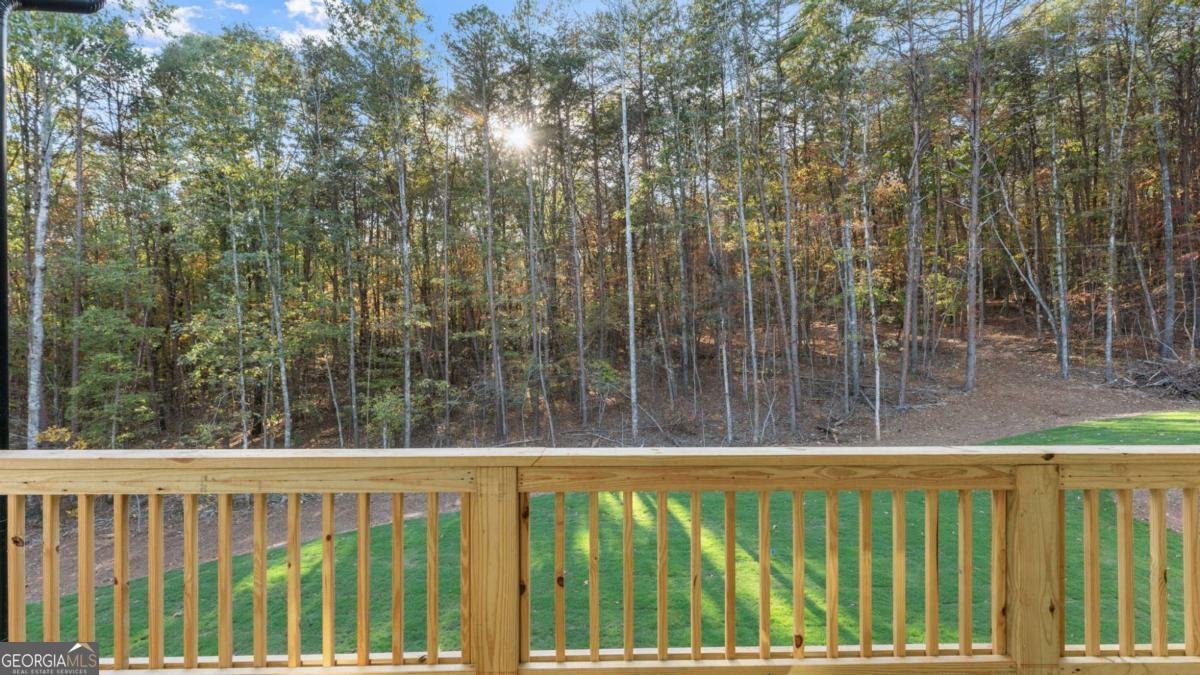 165 Highlands Chase Ball Ground - 29