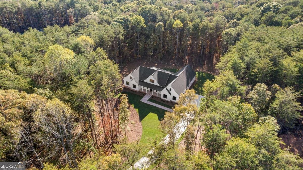 165 Highlands Chase Ball Ground - 31