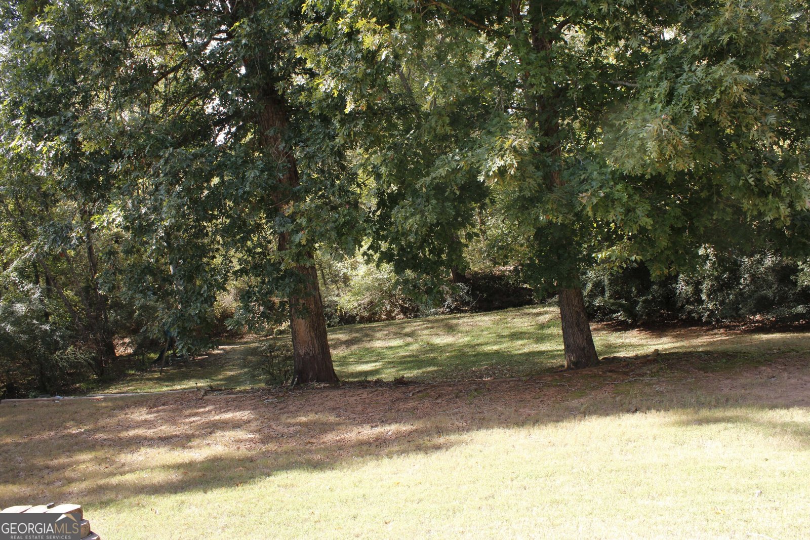 3106 Brians Creek Drive Conyers - 17