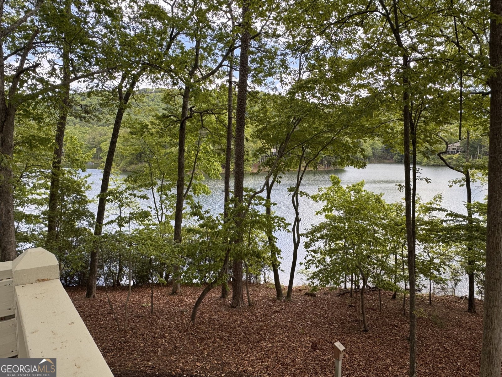 148 Kingfisher Point Big Canoe - 26