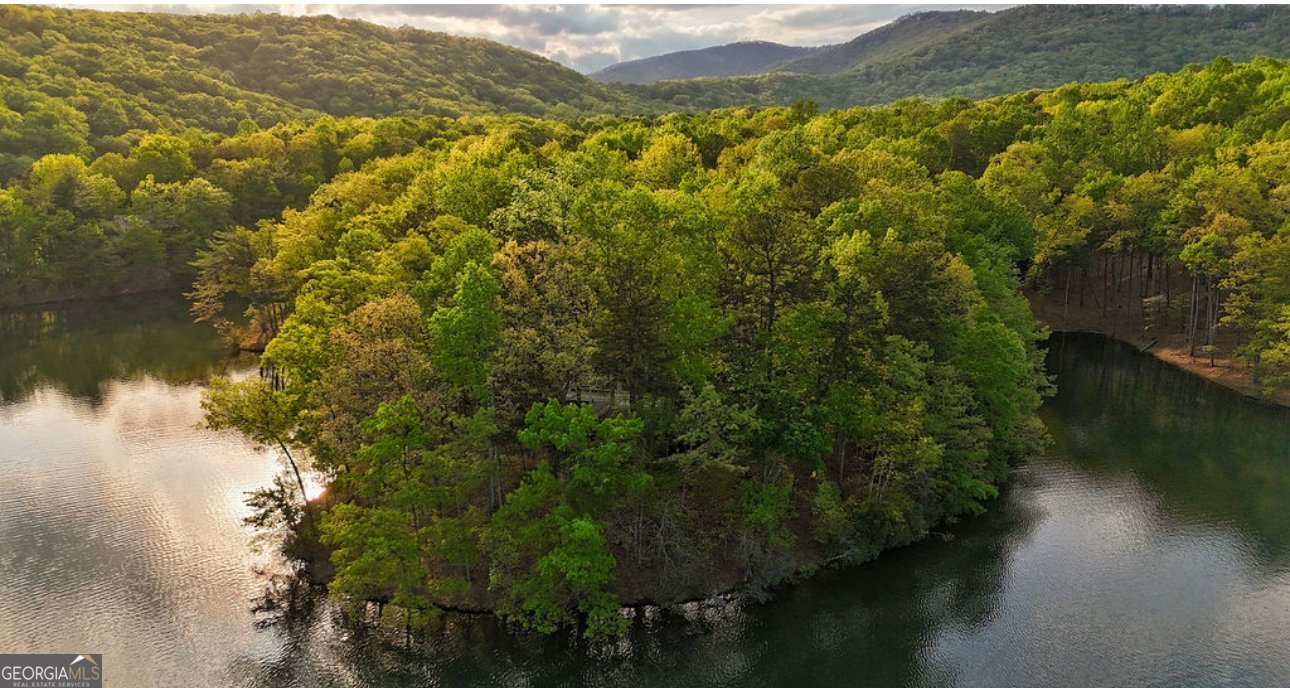 148 Kingfisher Point Big Canoe - 32