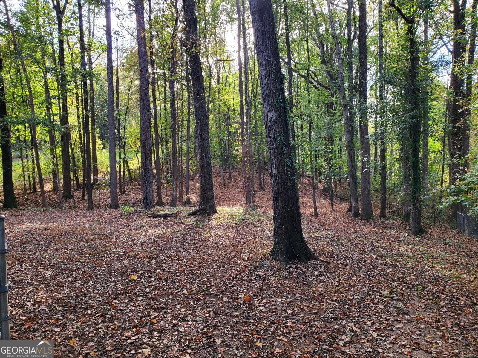 5406 Megan Road Stone Mountain - 10