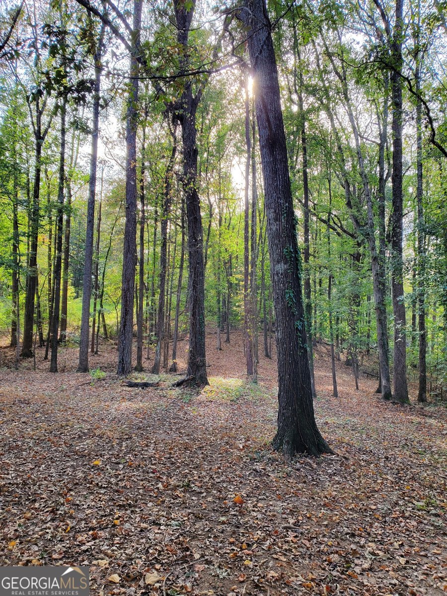 5406 Megan Road Stone Mountain - 11