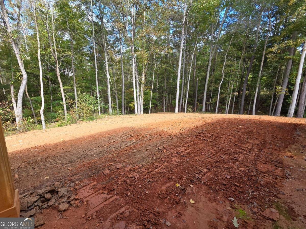 176 Paige Street Dallas - 28