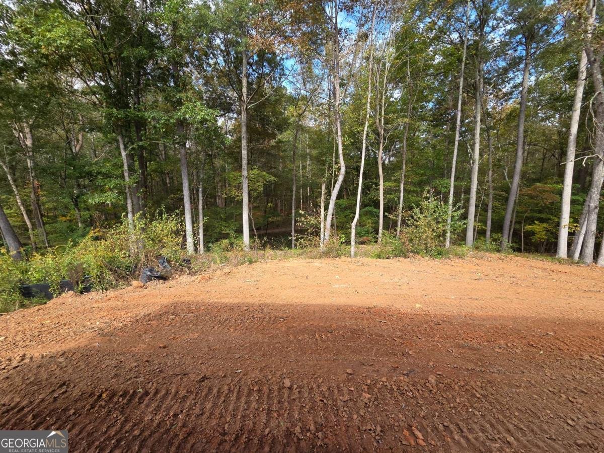 176 Paige Street Dallas - 29