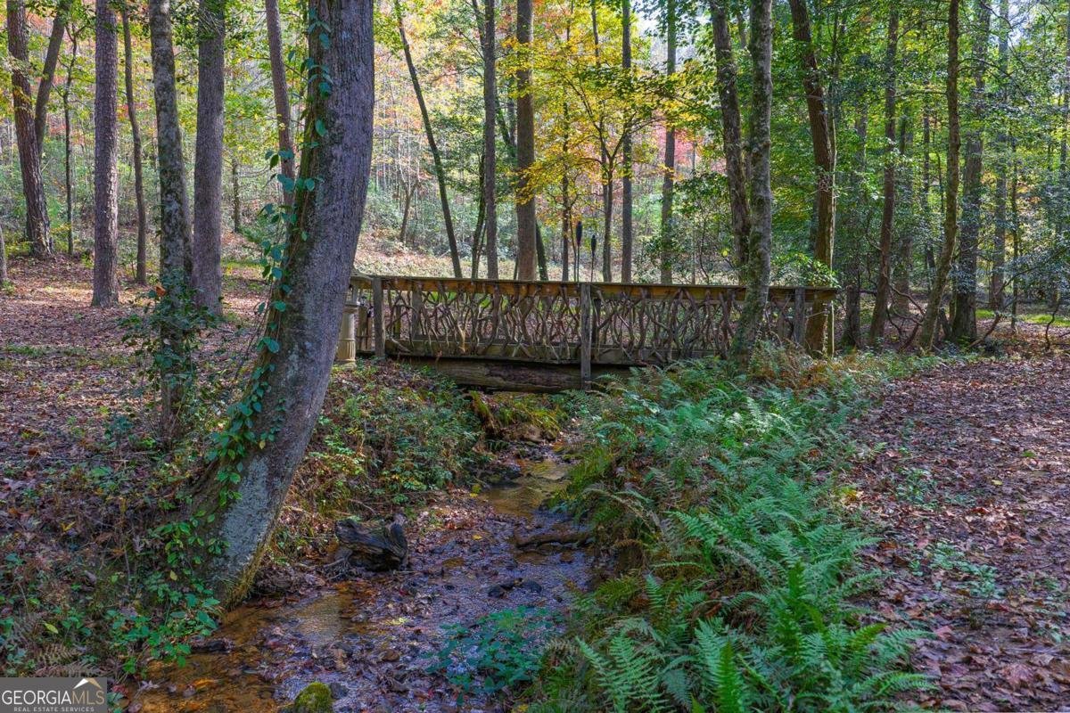 685 Chopped Oak Road Ellijay - 43