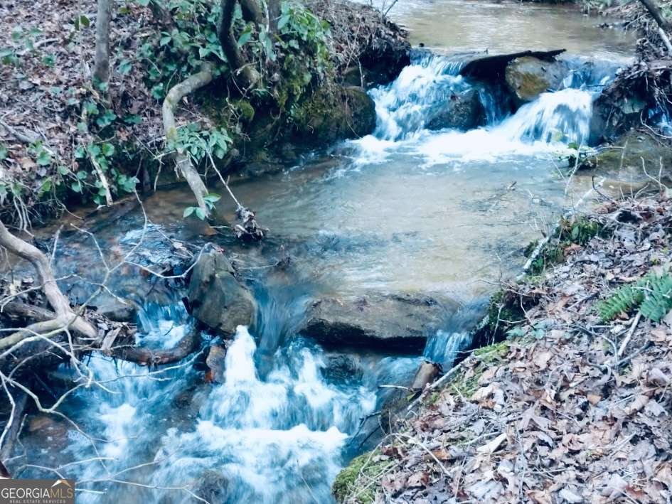 685 Chopped Oak Road Ellijay - 44