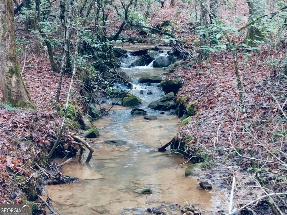 685 Chopped Oak Road Ellijay - 45