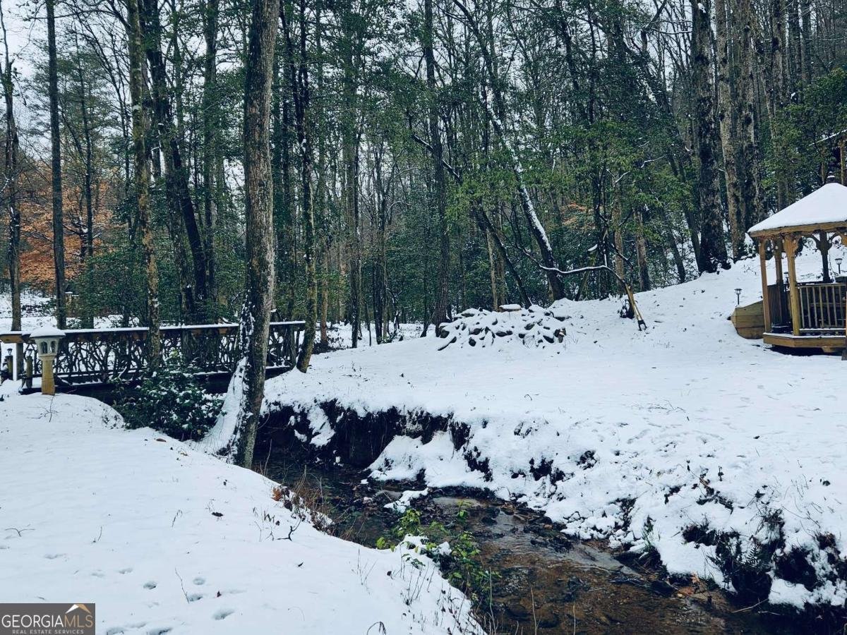 685 Chopped Oak Road Ellijay - 46