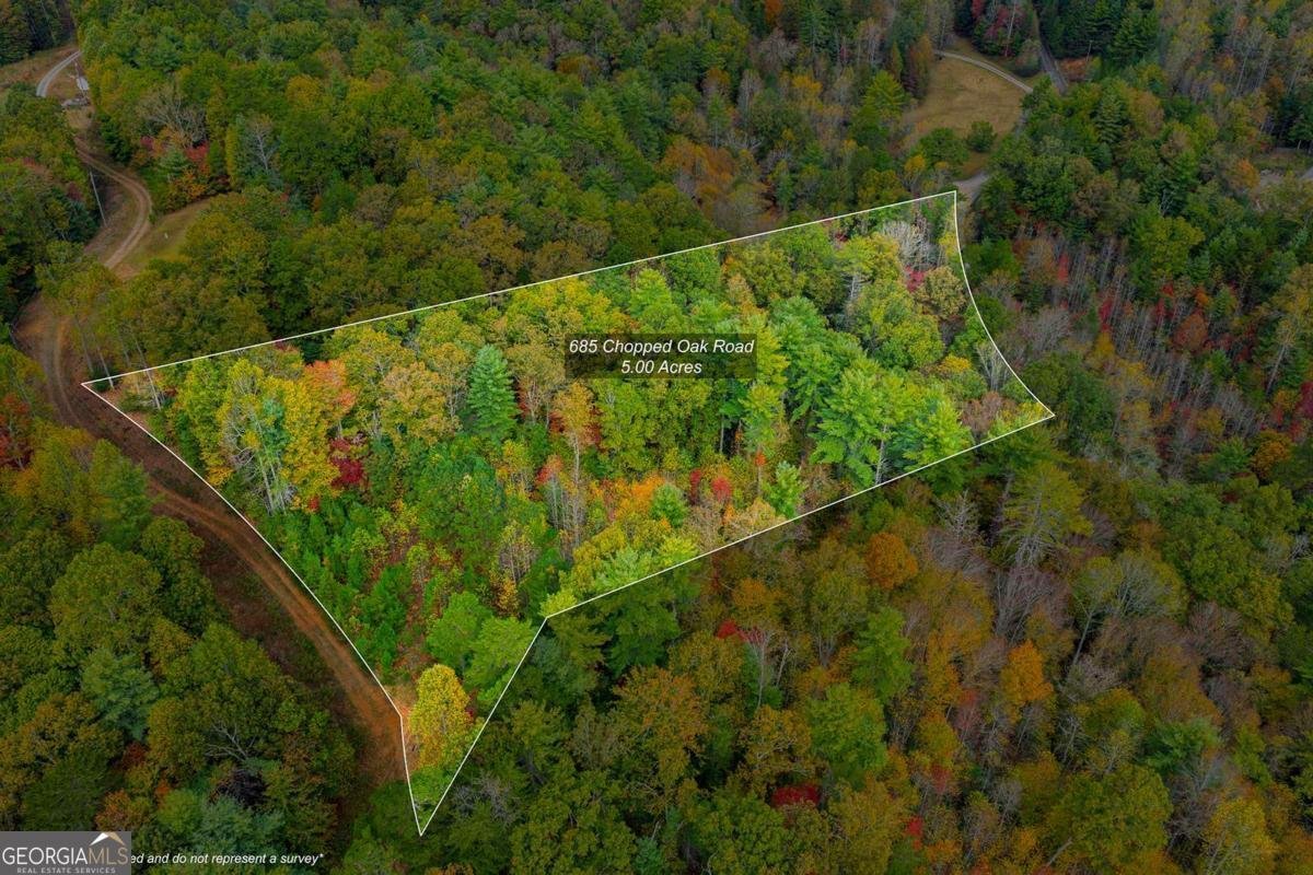 685 Chopped Oak Road Ellijay - 51