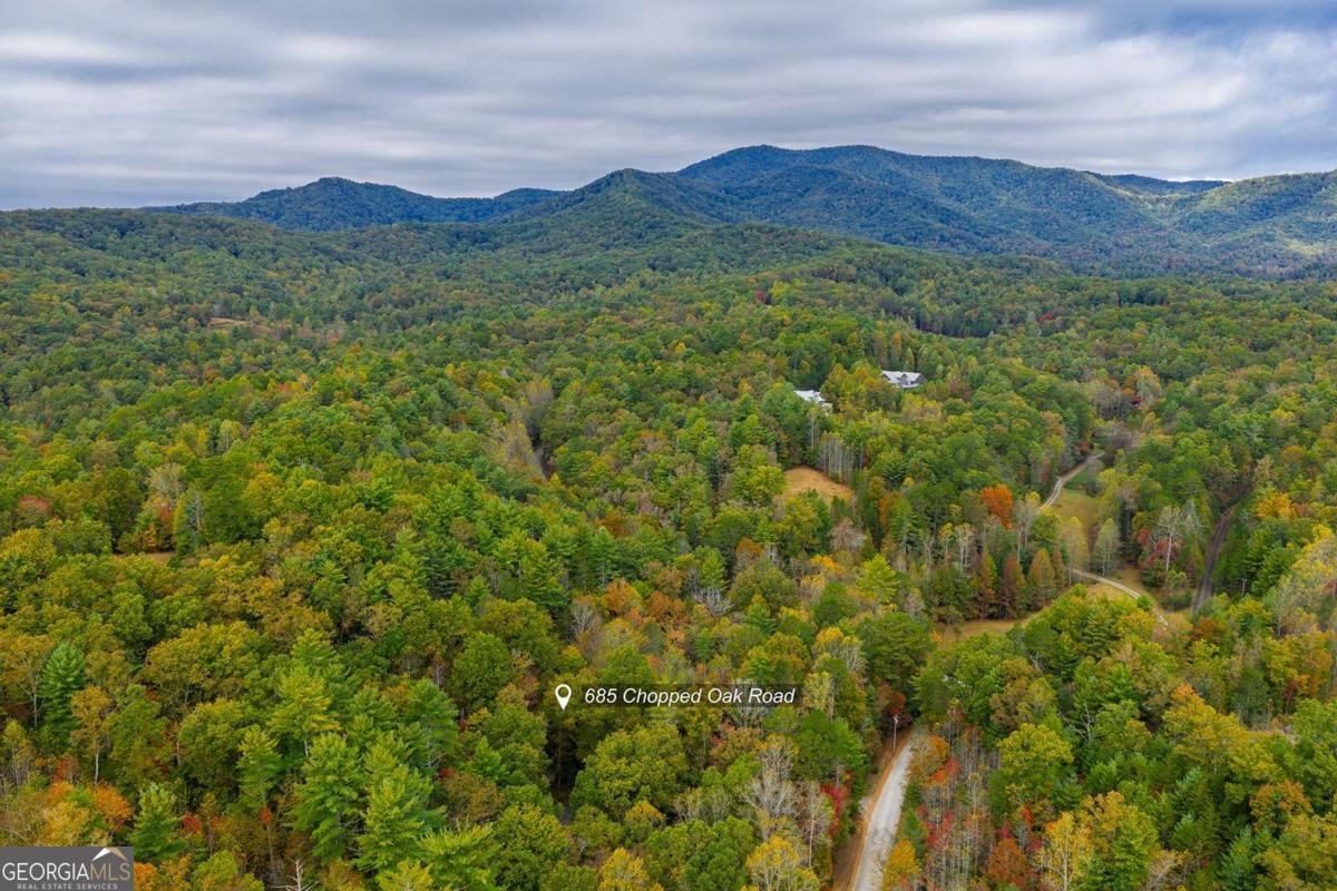 685 Chopped Oak Road Ellijay - 53