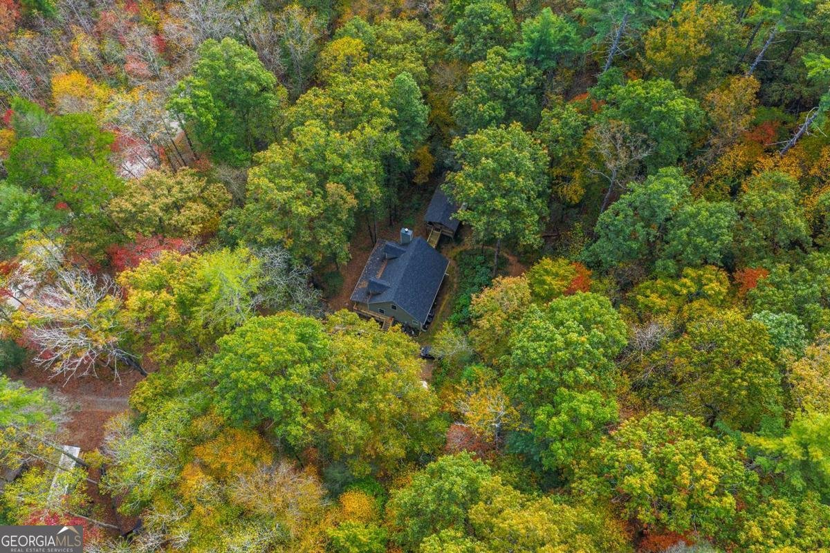 685 Chopped Oak Road Ellijay - 54