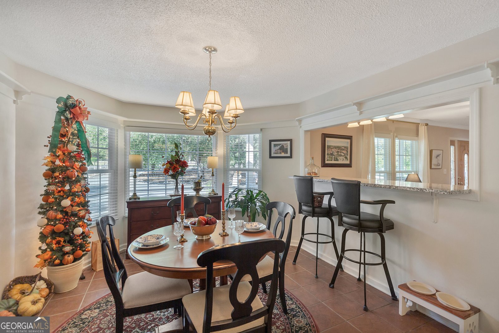 1009 White Pine Lane Townville - 11