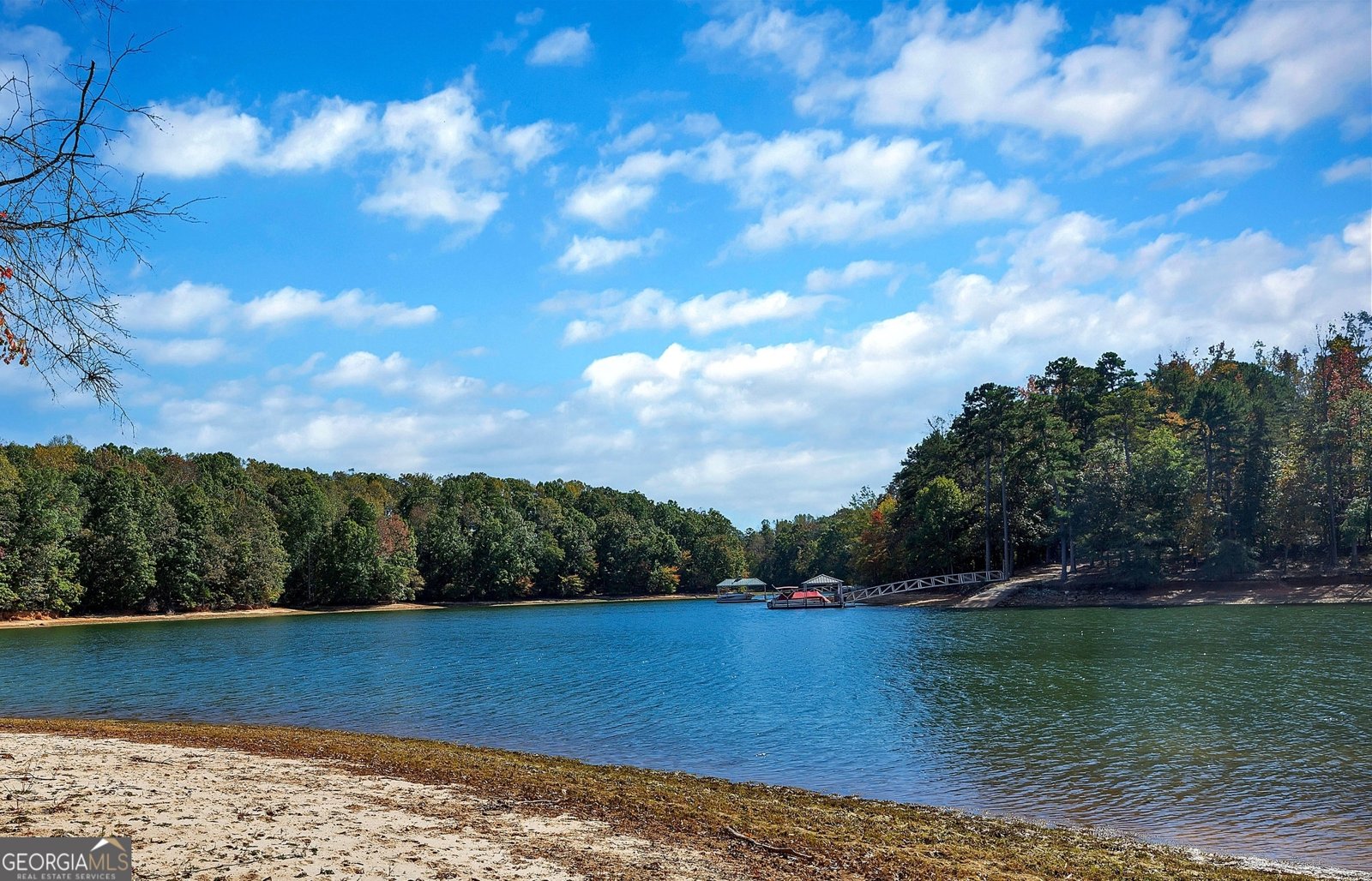 1009 White Pine Lane Townville - 29