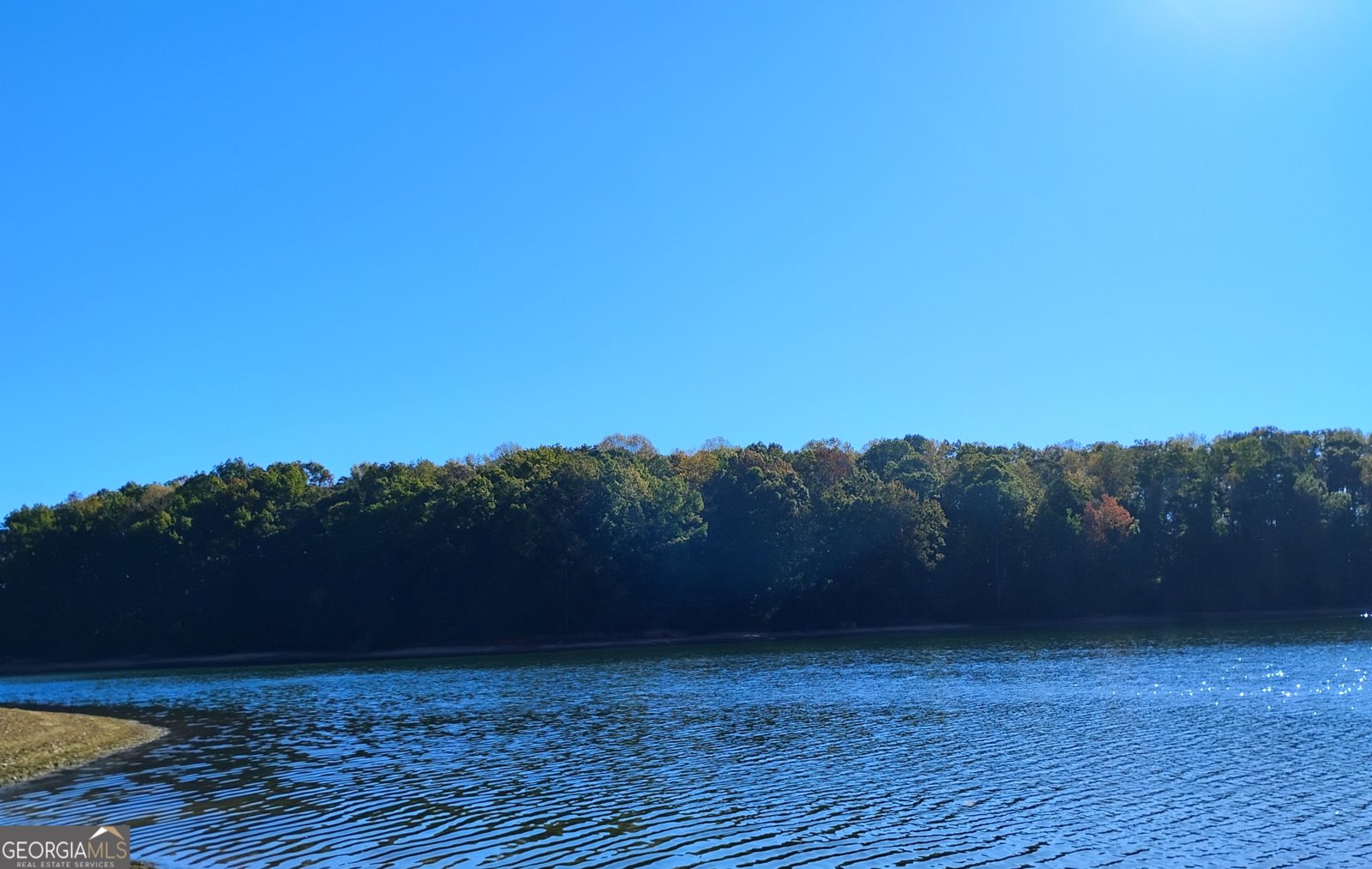 1009 White Pine Lane Townville - 30