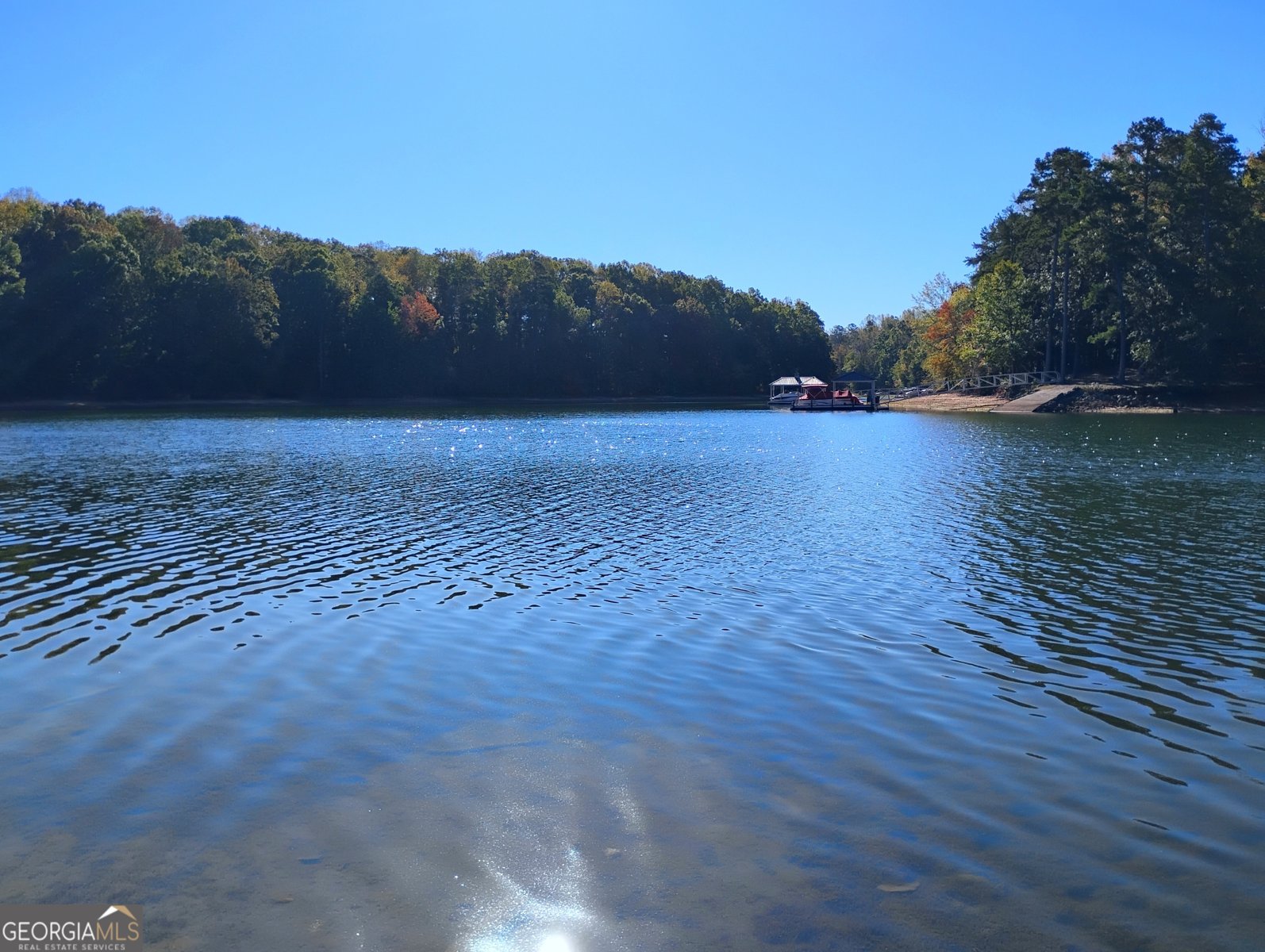 1009 White Pine Lane Townville - 31