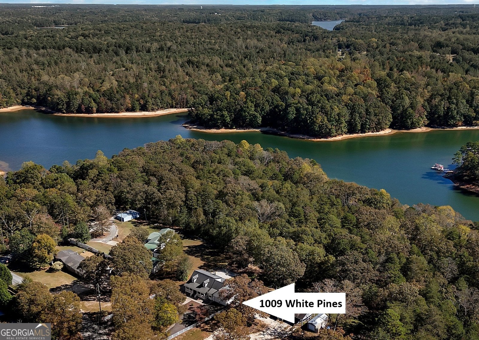 1009 White Pine Lane Townville - 32