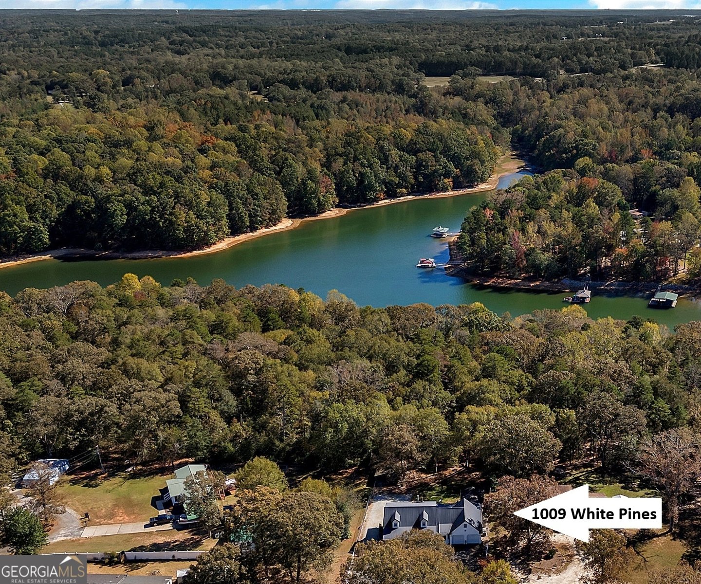 1009 White Pine Lane Townville - 33