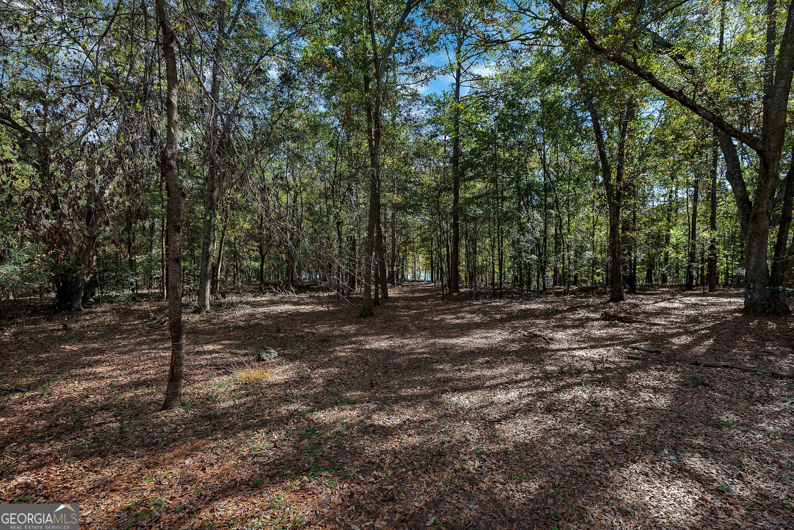 1009 White Pine Lane Townville - 37