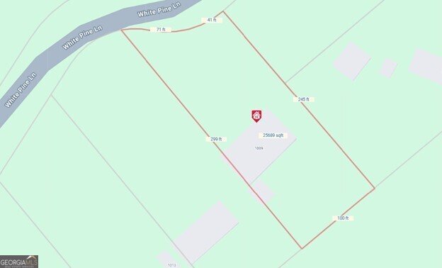 1009 White Pine Lane Townville - 51