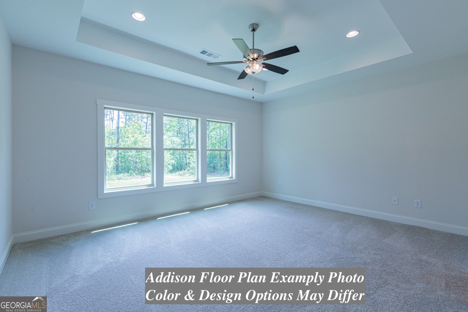 3243 Old Lifsey Springs Road Molena - 4