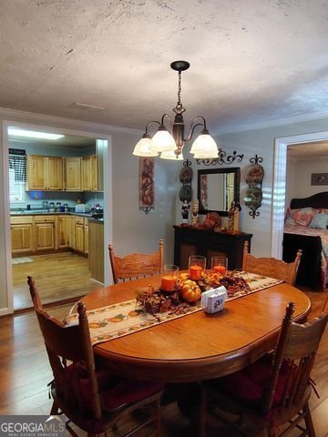 151 Airport Road Trion - 10