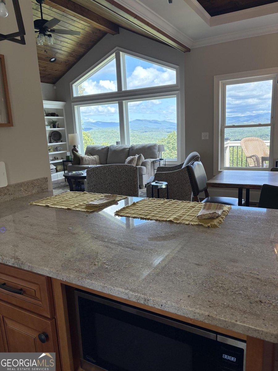 916 Arbor Drive Lakemont - 12