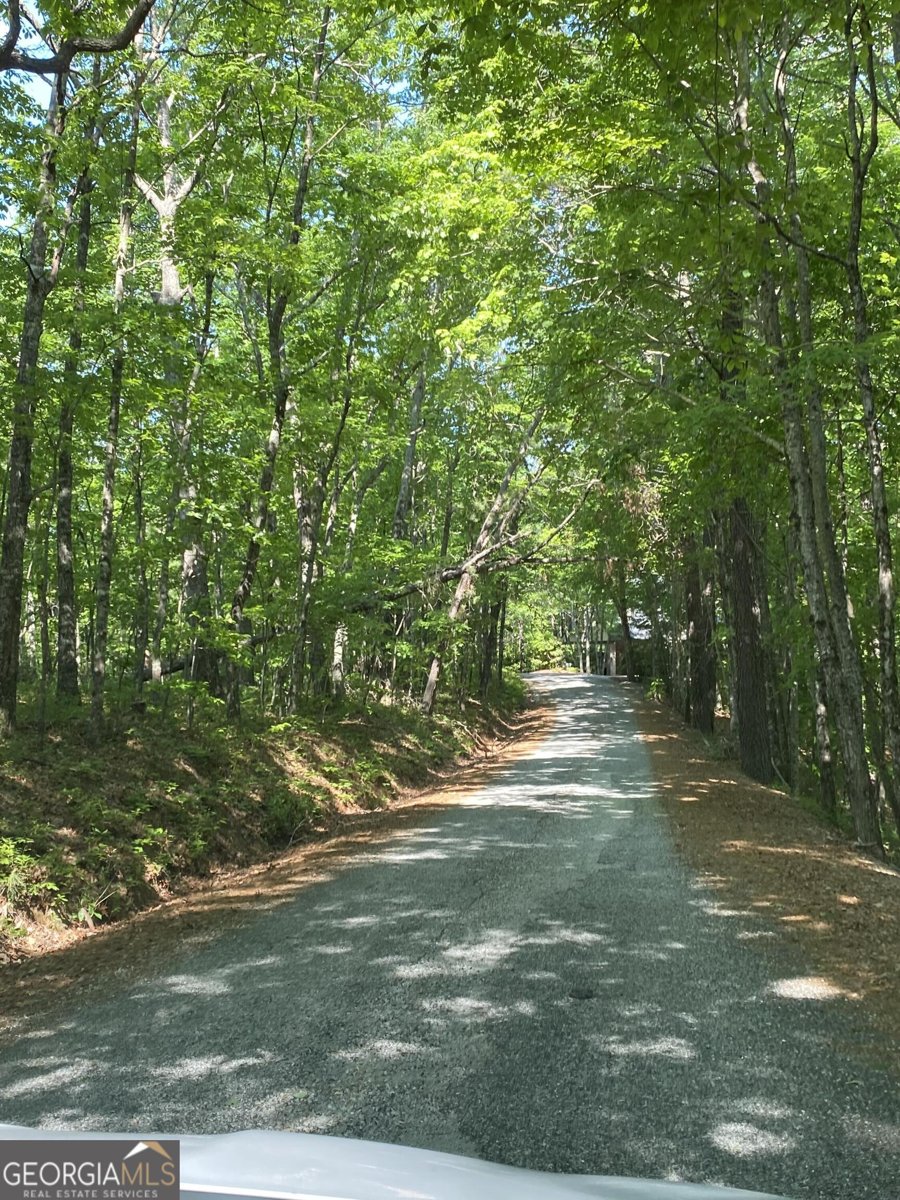 916 Arbor Drive Lakemont - 44