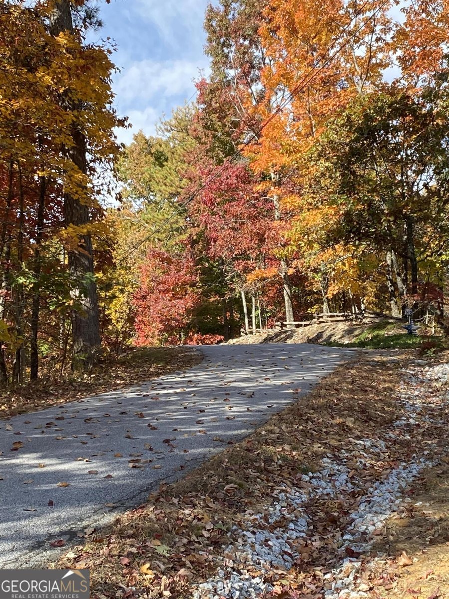 916 Arbor Drive Lakemont - 5