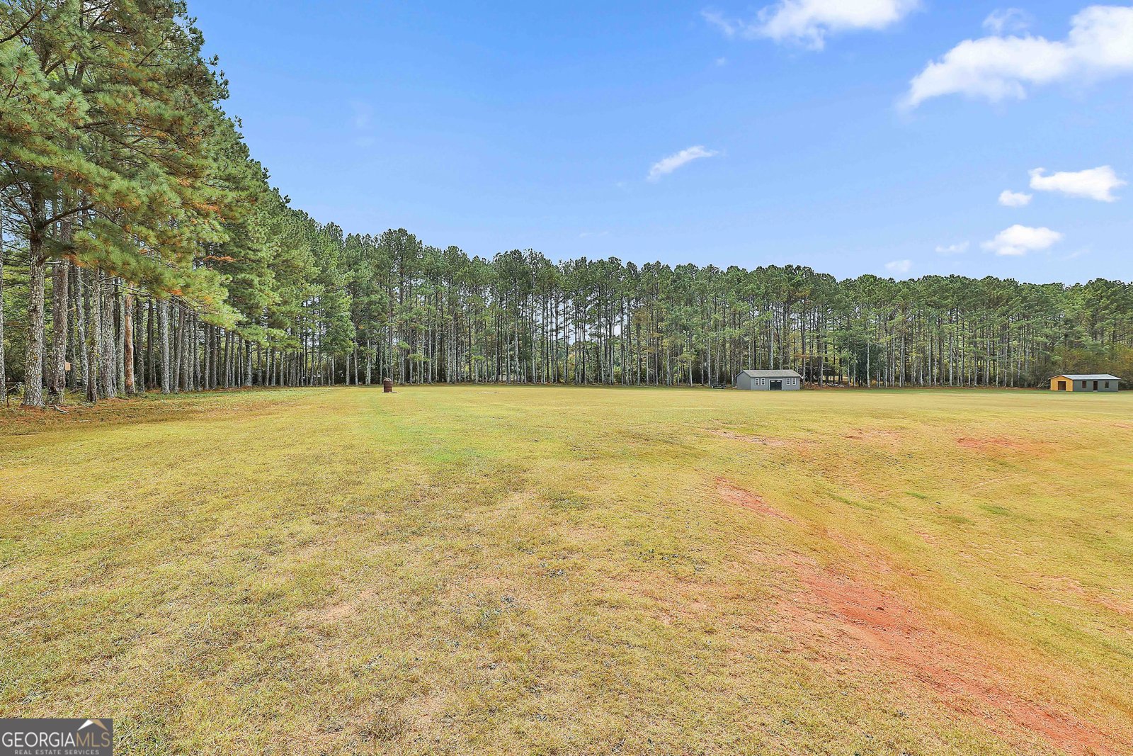 110 Whistle Pine Farm Drive Senoia - 2