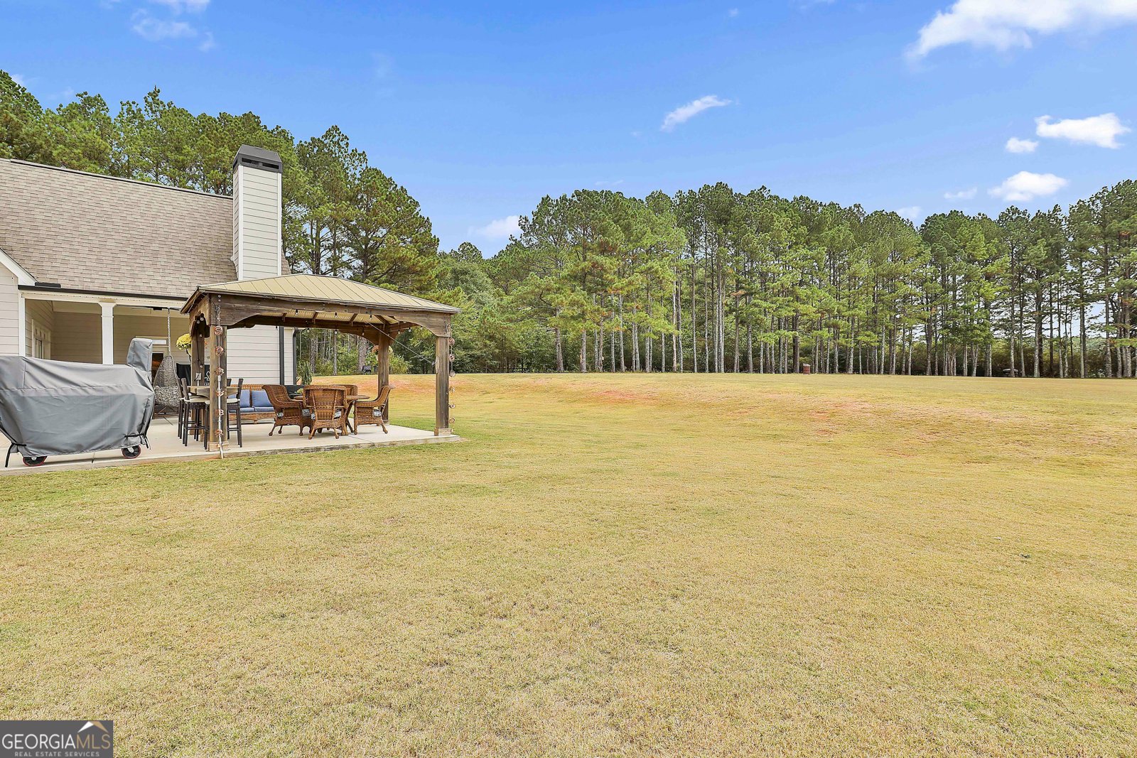 110 Whistle Pine Farm Drive Senoia - 49