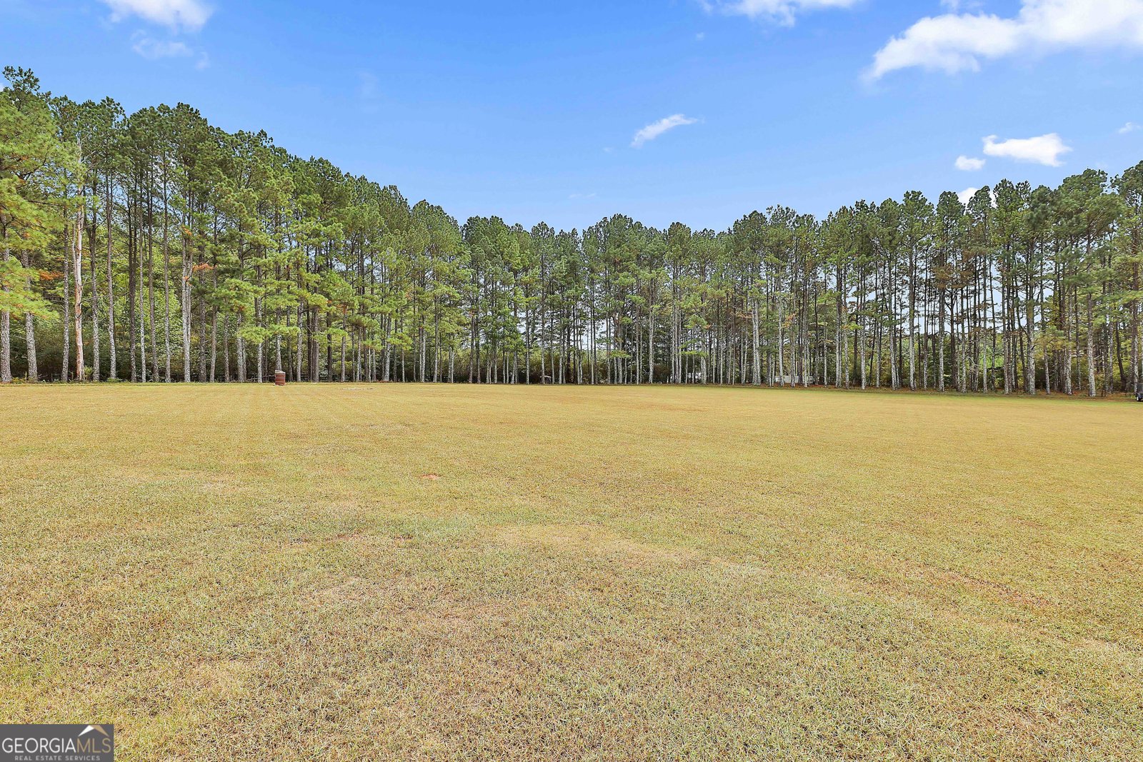 110 Whistle Pine Farm Drive Senoia - 52