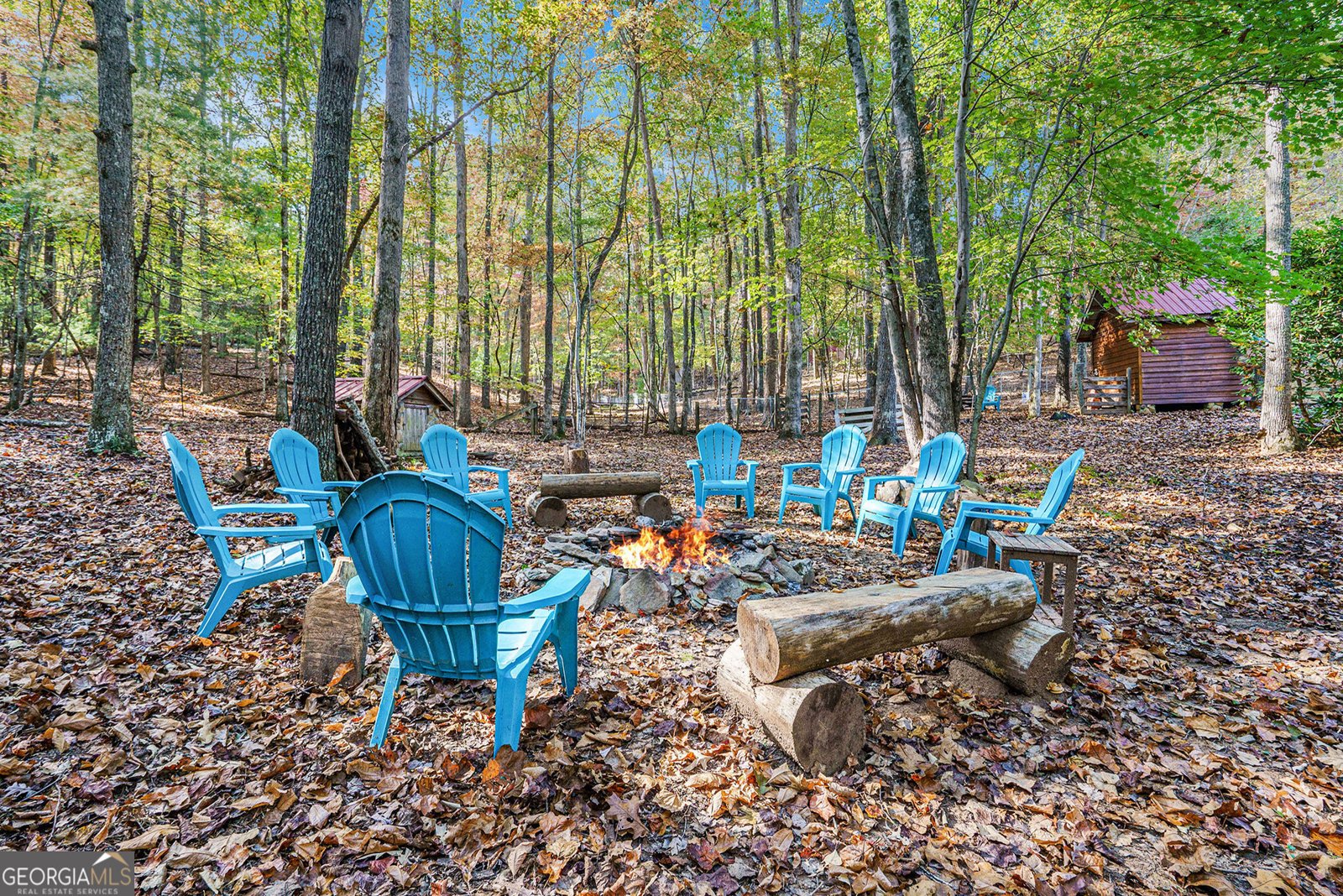 98 Bear Lane Blue Ridge - 2