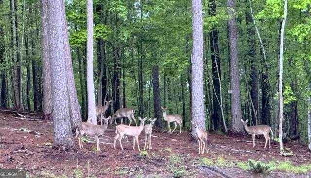 188 Macedonia Road White - 55